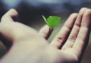 How to Become Self-Actualized in Retirement