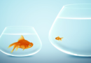 The Retirement Comparison Trap