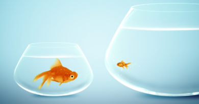 The Retirement Comparison Trap